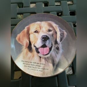 Danbury Mint Golden Retriever Collector Plate Eyes of Love